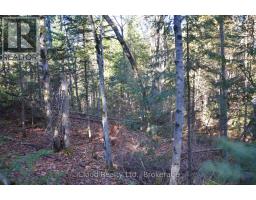 2 Parker Bay Road, Whitestone, ON P0A1G0 Photo 12