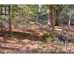 2 Parker Bay Road, Whitestone, ON P0A1G0 Photo 14