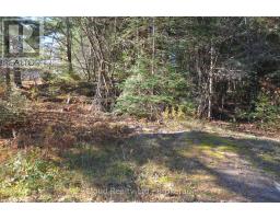 2 Parker Bay Road, Whitestone, ON P0A1G0 Photo 15