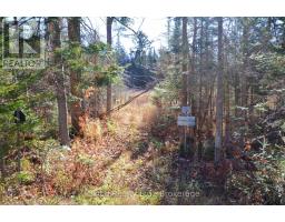 2 Parker Bay Road, Whitestone, ON P0A1G0 Photo 27