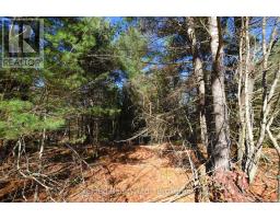 2 Parker Bay Road, Whitestone, ON P0A1G0 Photo 7