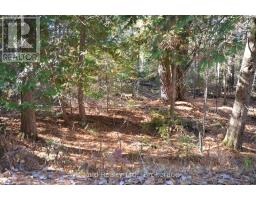 2 And 3 Parker Bay Road, Whitestone, ON P0A1G0 Photo 11
