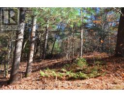 2 And 3 Parker Bay Road, Whitestone, ON P0A1G0 Photo 20