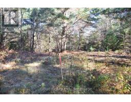 2 And 3 Parker Bay Road, Whitestone, ON P0A1G0 Photo 21