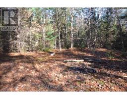 2 And 3 Parker Bay Road, Whitestone, ON P0A1G0 Photo 22