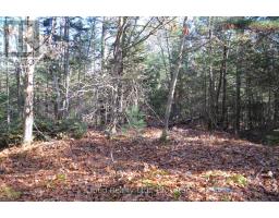 2 And 3 Parker Bay Road, Whitestone, ON P0A1G0 Photo 24