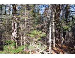 2 And 3 Parker Bay Road, Whitestone, ON P0A1G0 Photo 25