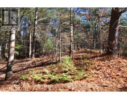 2 And 3 Parker Bay Road, Whitestone, ON P0A1G0 Photo 29