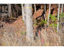 2 And 3 Parker Bay Road, Whitestone, ON P0A1G0 Photo 30