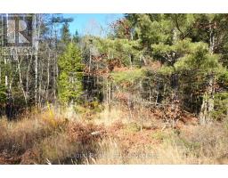 2 And 3 Parker Bay Road, Whitestone, ON P0A1G0 Photo 32
