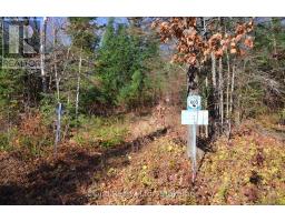2 And 3 Parker Bay Road, Whitestone, ON P0A1G0 Photo 37