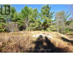 2 And 3 Parker Bay Road, Whitestone, ON P0A1G0 Photo 6