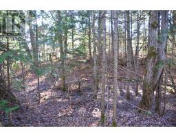2 And 3 Parker Bay Road, Whitestone, ON P0A1G0 Photo 8