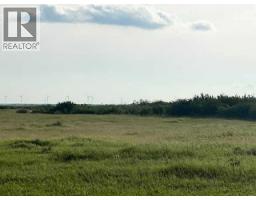 37232 Rr135, Rural Paintearth No  18, County Of, AB T0B0X0 Photo 6
