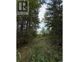 1103 Ategameg Bay, Northern Admin District, SK S0J1L0 Photo 18