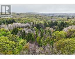 95 Fog Road, King, ON L7B1A3 Photo 50