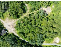 91 Trans Canada Highway thumbnail 23