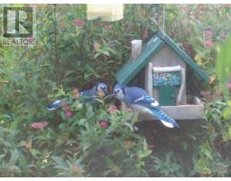 9273 Highway 16, Cooks Cove, NS B0H1N0 Photo 24