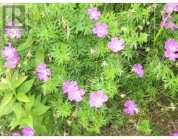 9273 Highway 16, Cooks Cove, NS B0H1N0 Photo 25
