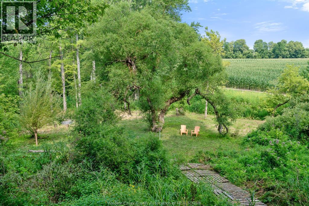 11787 River LINE - Image 43