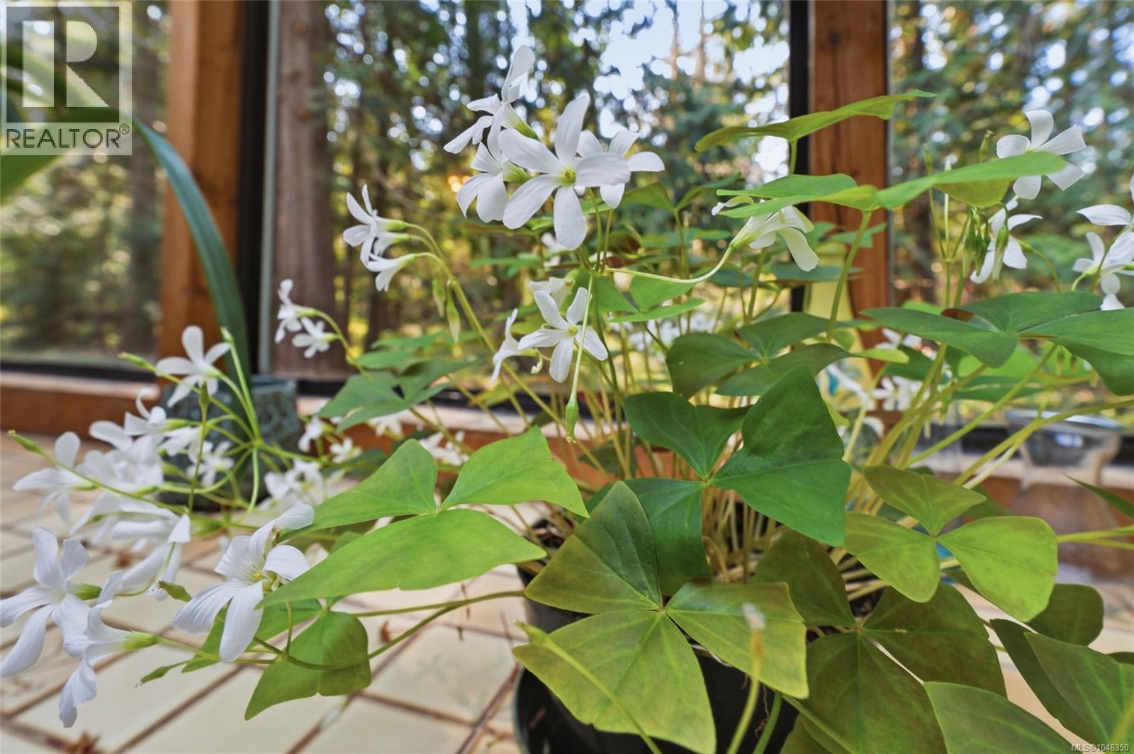 850 Village Way, Qualicum Beach