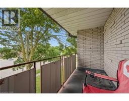 101 Secord Avenue, Kitchener, ON N2B2L3 Photo 30