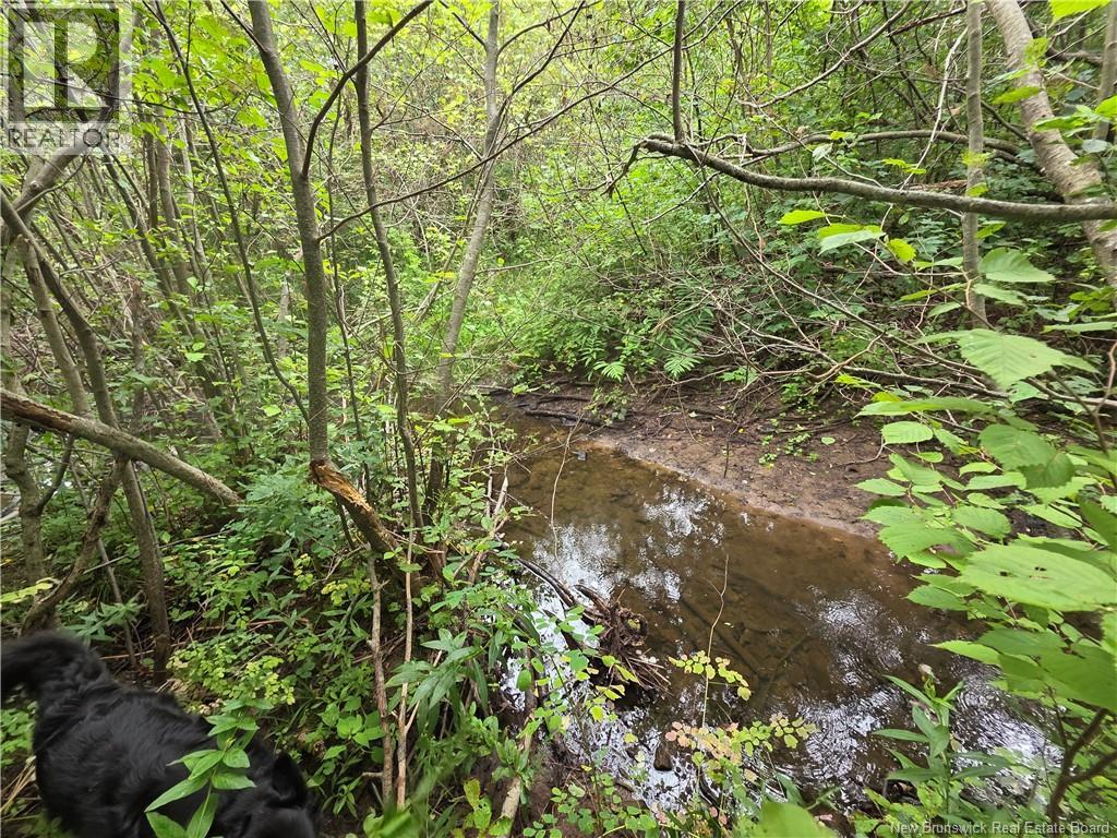 6129 Route 515 - Image 43