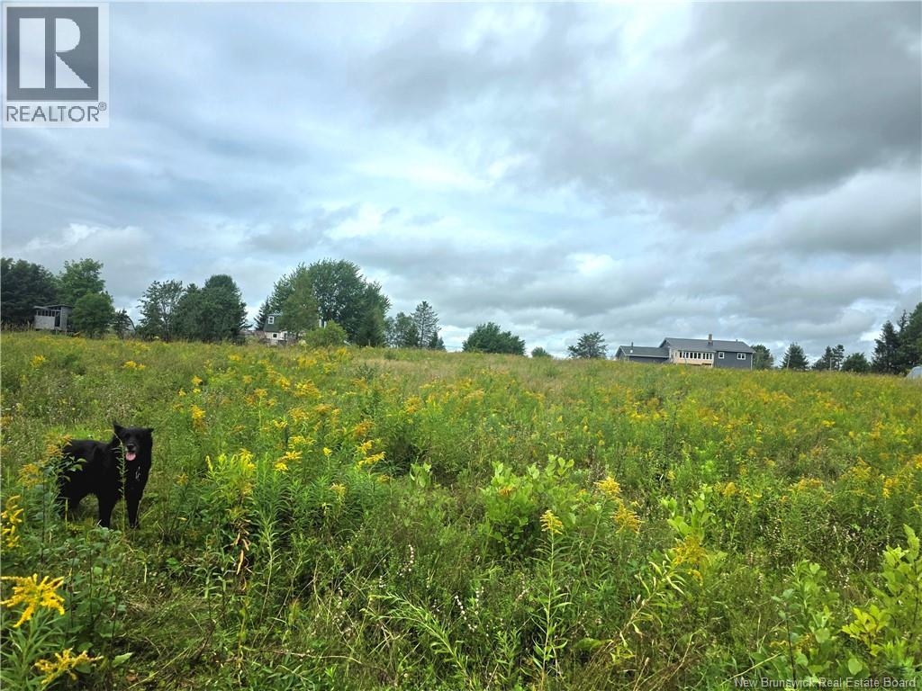 6129 Route 515 - Image 40