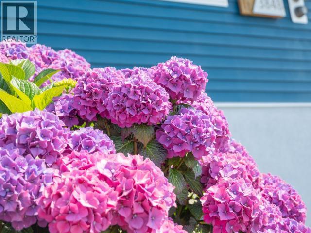 3848 GORDON AVE - Image 48