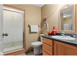 #3 61075 Twp Road 462 A, Rural Wetaskiwin County, AB T0C0T0 Photo 54