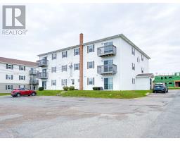11 Elena Court, Charlottetown, PE C1C0B2 Photo 22