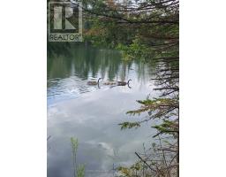 3220 A March Road, Ottawa, ON K0A1L0 Photo 39
