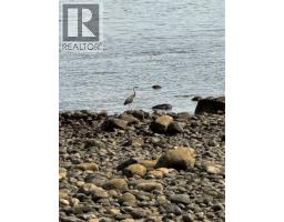 210 87 Island Hwy S, Campbell River, BC V9W1A2 Photo 16