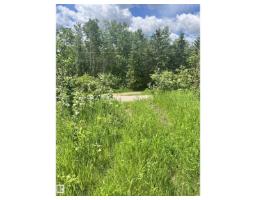 62 Coney Drive, Rural St  Paul County, AB T0A3A0 Photo 6
