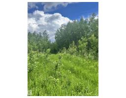 62 Coney Drive, Rural St  Paul County, AB T0A3A0 Photo 7