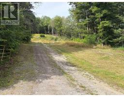 181 Chemaushgon Road, Bancroft, ON K0L1C0 Photo 12