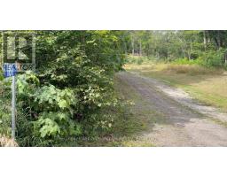 181 Chemaushgon Road, Bancroft, ON K0L1C0 Photo 10