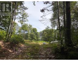 181 Chemaushgon Road, Bancroft, ON K0L1C0 Photo 6