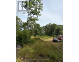 181 Chemaushgon Road, Bancroft, ON K0L1C0 Photo 7