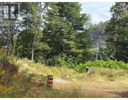 181 Chemaushgon Road, Bancroft, ON K0L1C0 Photo 9