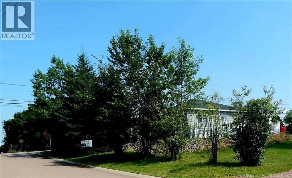 137 LeBlanc Avenue - 41