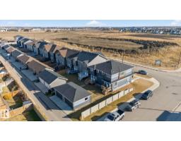 Second Kitchen - 382 Crystallina Nera Dr Nw, Edmonton, AB T5Z0R9 Photo 8