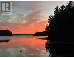 1 - 1052 Cove Road, Muskoka Lakes, ON P0B1M0 Photo 7