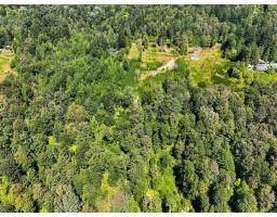 31390 Olson Avenue, Mission, BC V4S1E8 Photo 9