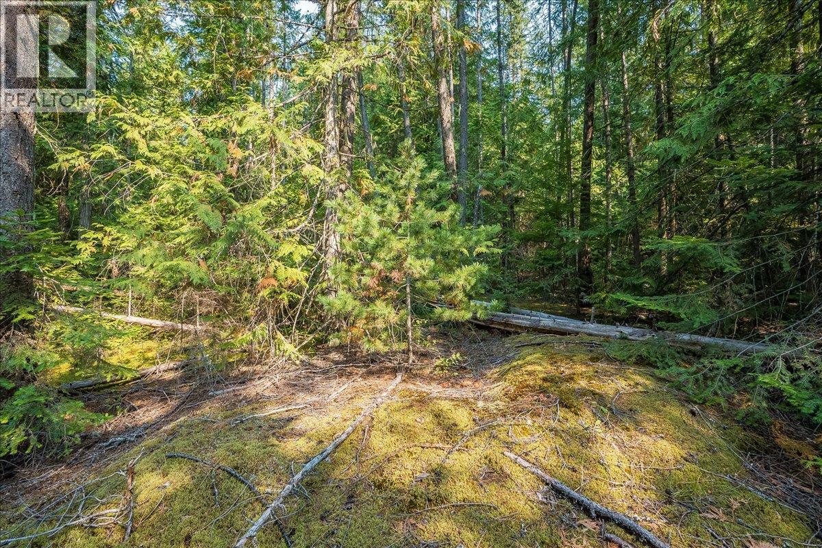 7025 Rogers Road, Balfour