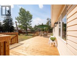 56 Lakeview Avenue, Gull Lake, AB T0C0J0 Photo 37