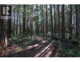 Lt 4 Pritchard Rd, Comox, BC V9M3S8 Photo 10