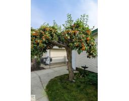 10629 79 St Nw, Edmonton, AB T6A3H5 Photo 54
