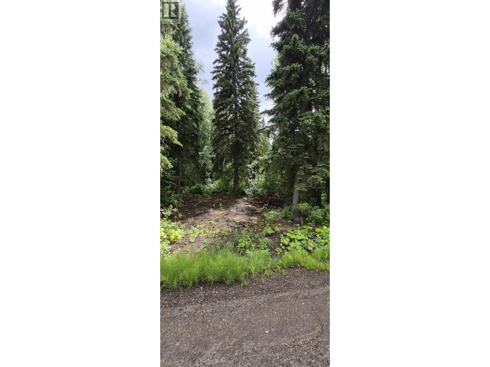 Photo 8 of 15 — 9341 BIRCHILL CRESCENT · Prince George, BC