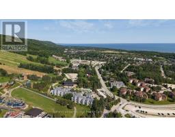 212 - 107 Ann Heggtveit Drive, Blue Mountains, ON L9Y0P7 Photo 29